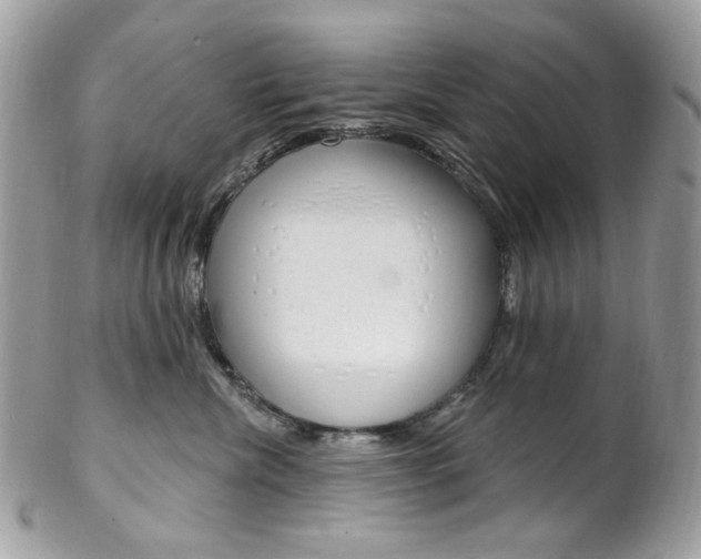 X0000102850476200808181051