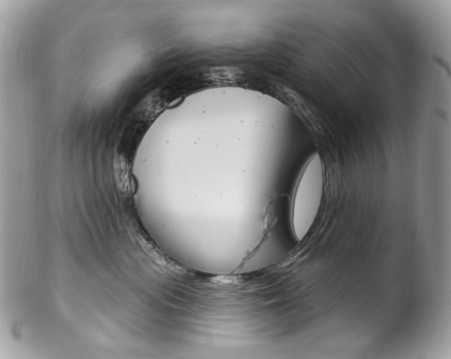 X0000102850477200808181051