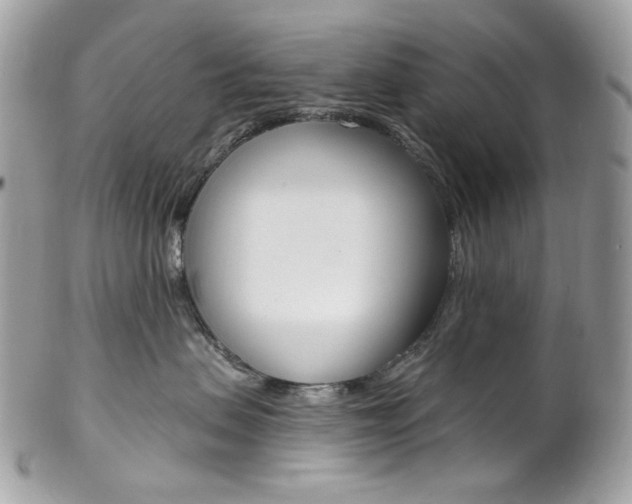 X0000102850479200808181051