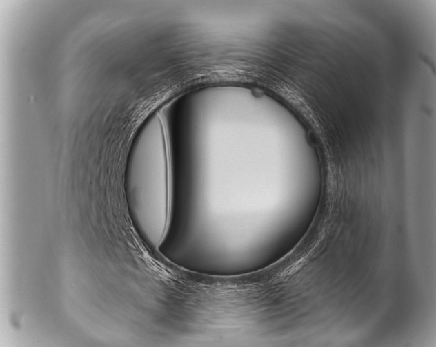 X0000102850481200808181050