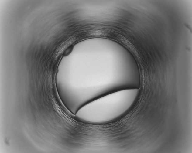 X0000102850482200808181050