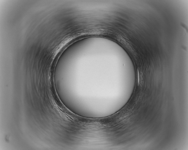 X0000102850483200808181050