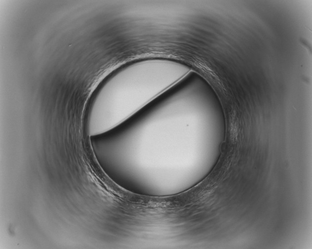 X0000102850484200808181050