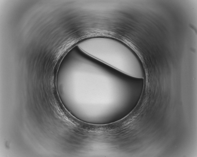 X0000102850485200808181050