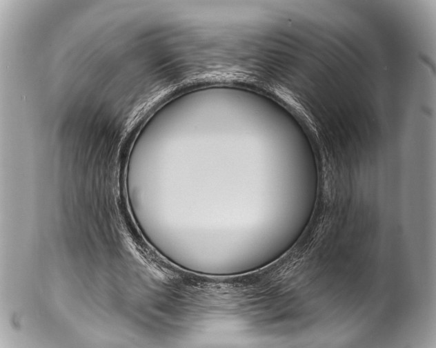 X0000102850486200808181050
