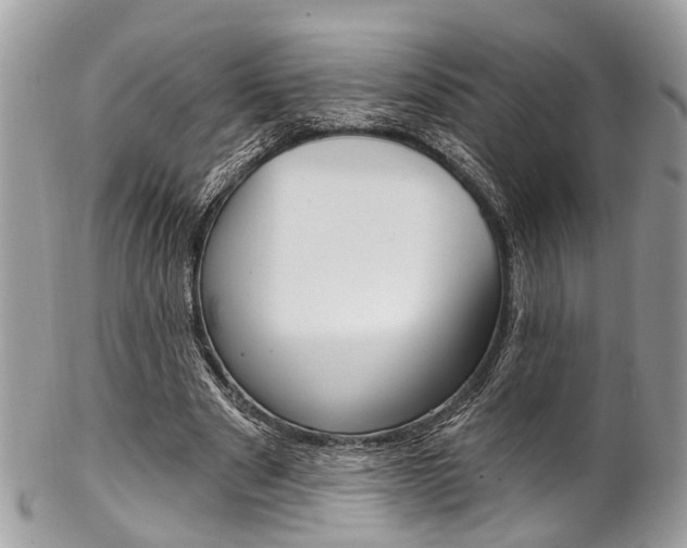 X0000102850489200808181050