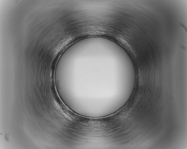 X0000102850490200808181050