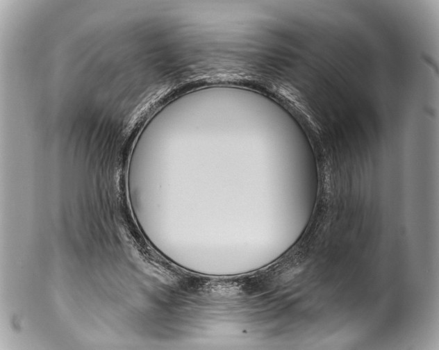 X0000102850491200808181050