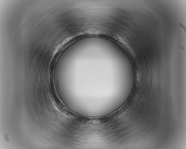 X0000102850492200808181050