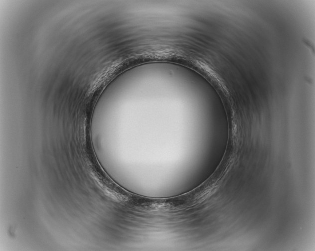 X0000102850493200808181050