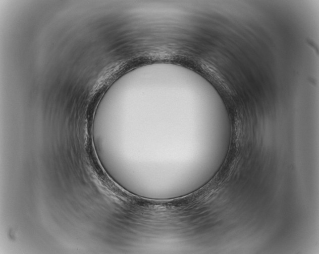 X0000102850494200808181050