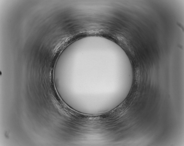 X0000102850495200808181050