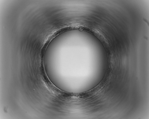 X0000102850496200808181050