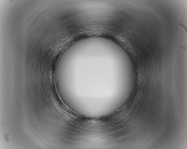 X0000102850498200808181050