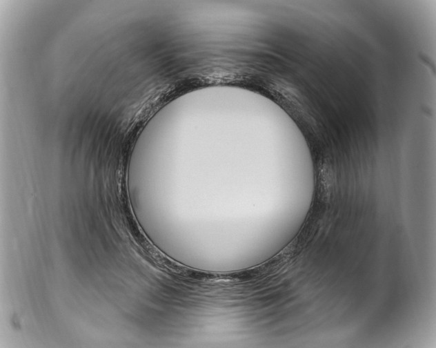 X0000102850499200808181050
