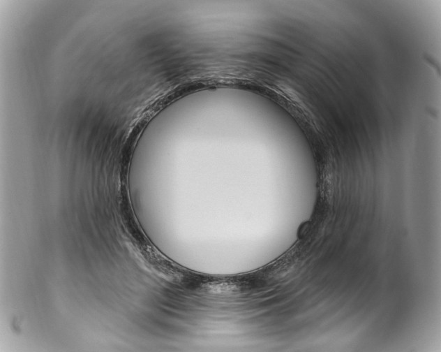 X0000102850500200808181050