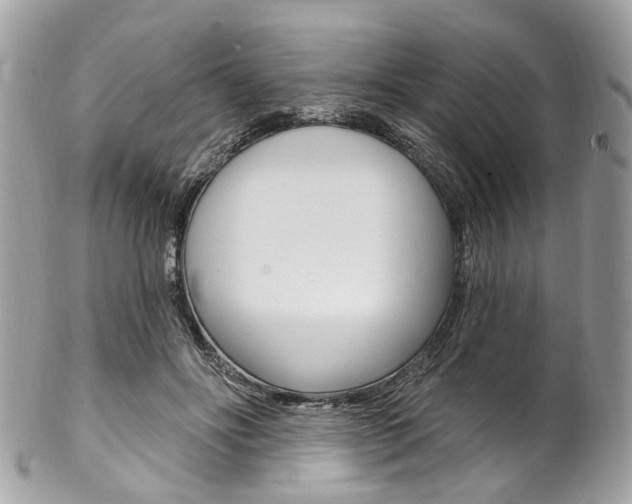 X0000102850502200808181050