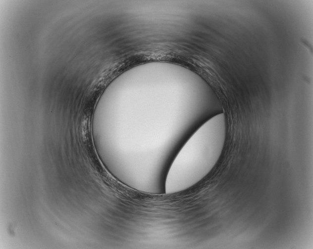 X0000102850503200808181050