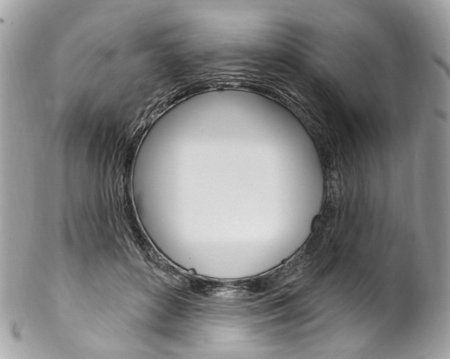 X0000102850504200808181050
