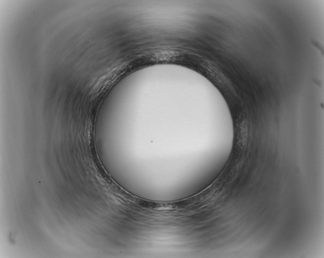 X0000102850505200808181050