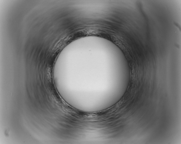 X0000102850506200808181050