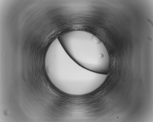 X0000102850507200808181050