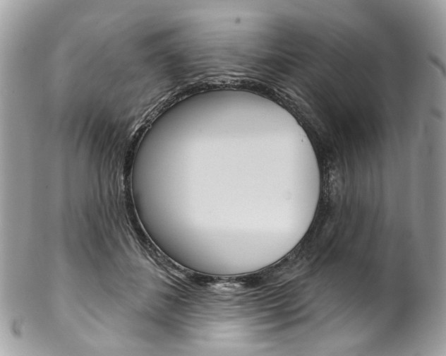 X0000102850508200808181050