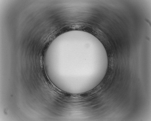 X0000102850510200808181050