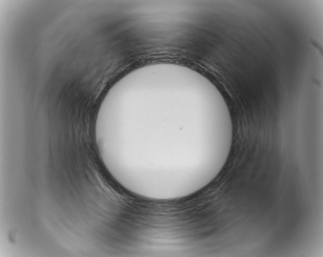 X0000102850512200808181050