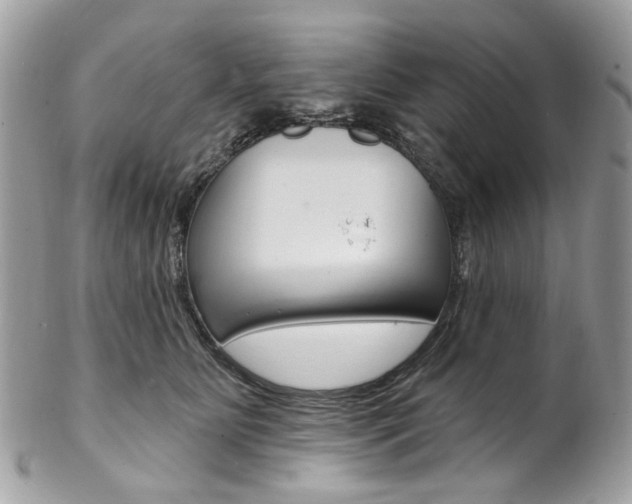 X0000102850515200808181050
