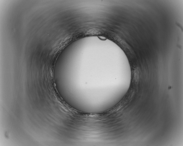 X0000102850517200808181050