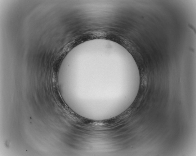 X0000102850518200808181050
