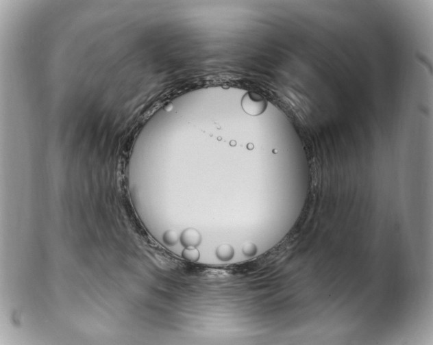 X0000102850519200808181050