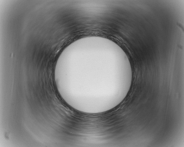 X0000102850520200808181050