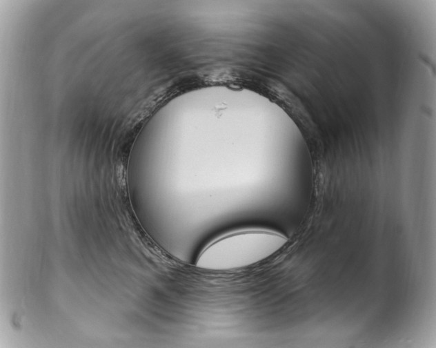 X0000102850521200808181050