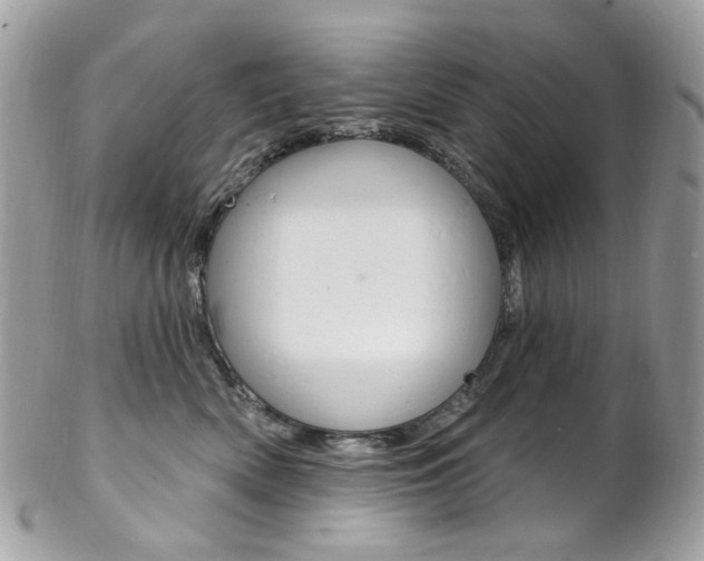 X0000102850522200808181050