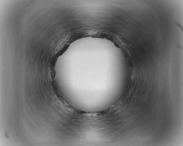 X0000102850524200808181050