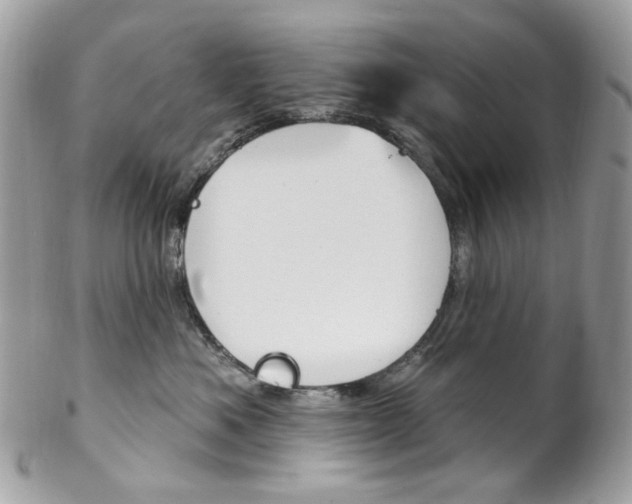 X0000102850525200808181050