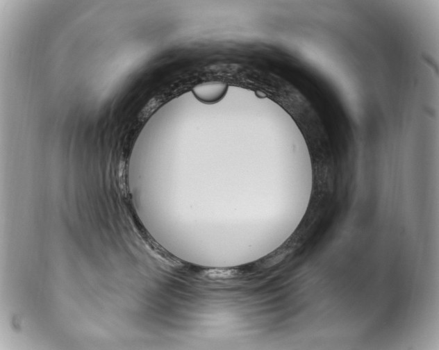 X0000102850526200808181050