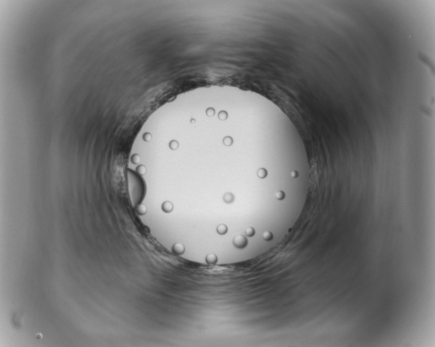 X0000102850527200808181050