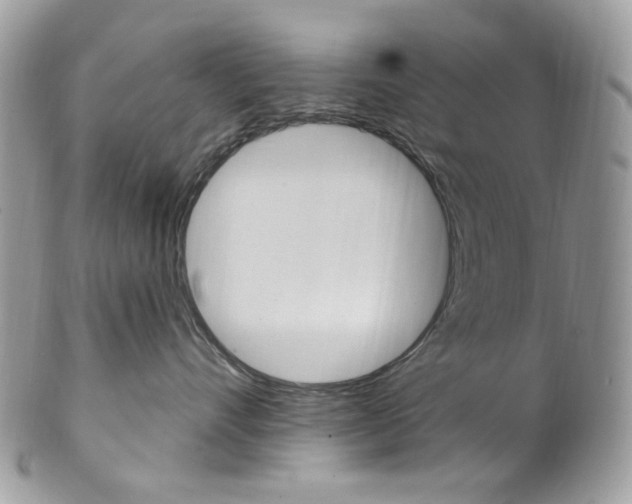 X0000102850528200808181050