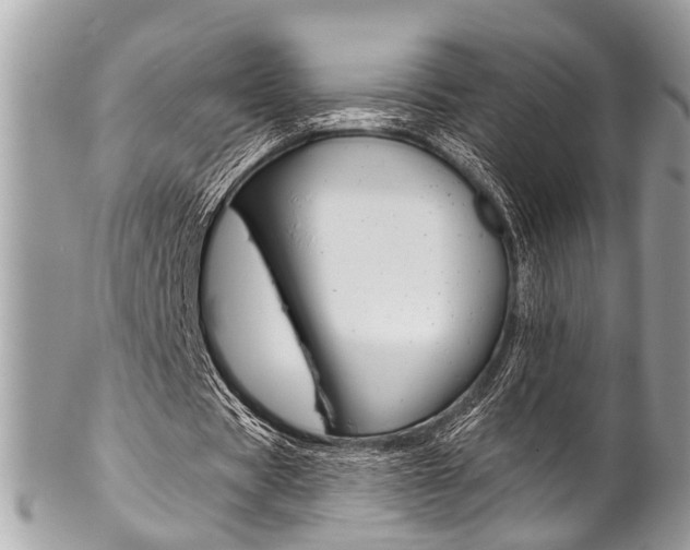 X0000102850529200808181049