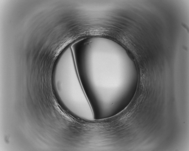 X0000102850530200808181049