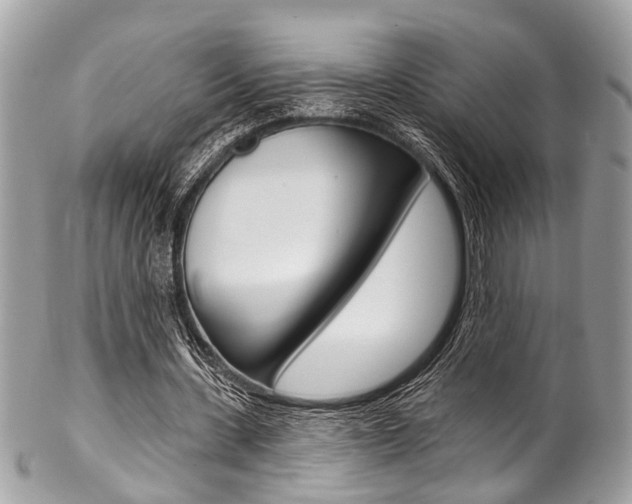 X0000102850531200808181049