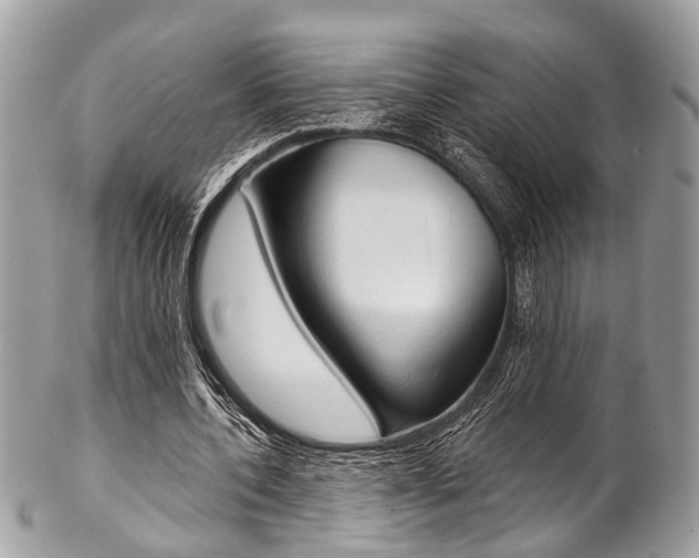 X0000102850532200808181049