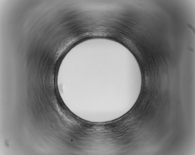X0000102850534200808181049
