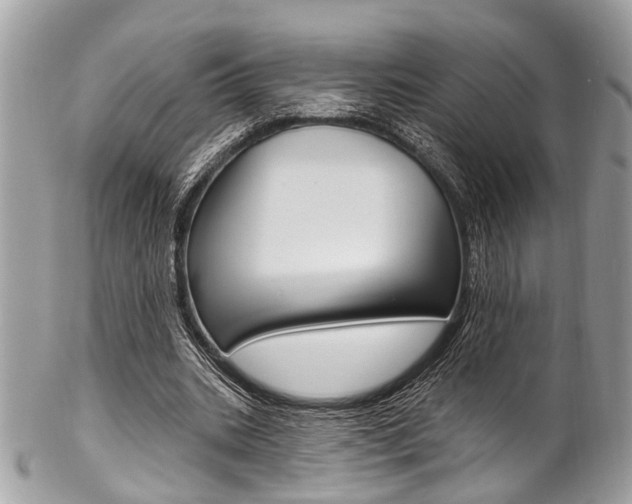 X0000102850535200808181049