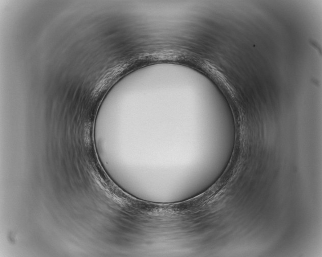 X0000102850537200808181049