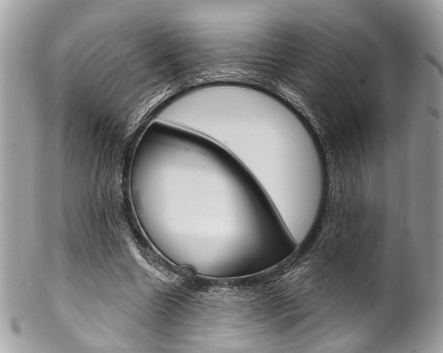 X0000102850538200808181049