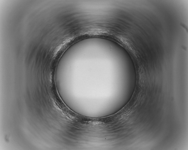 X0000102850539200808181049